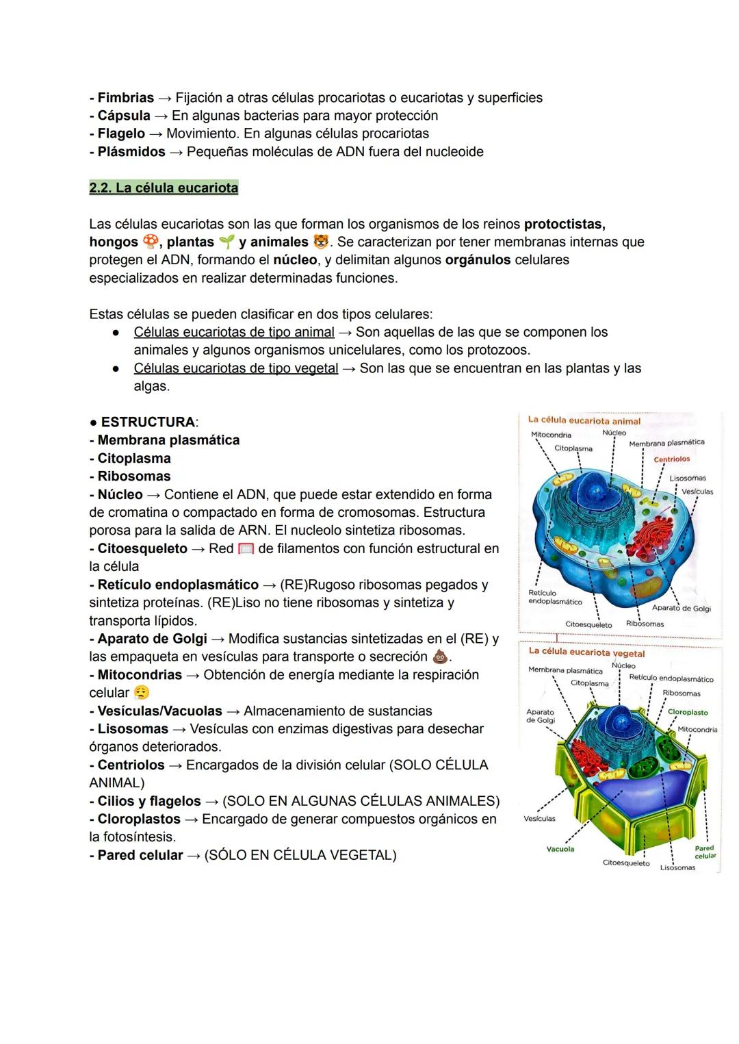 # TEMA 1: LA ORGANIZACIÓN CELULAR
1. LA CÉLULA: UNIDAD DE VIDA
1. La célula es una unidad estructural: Todo ser vivo está constituido mín
