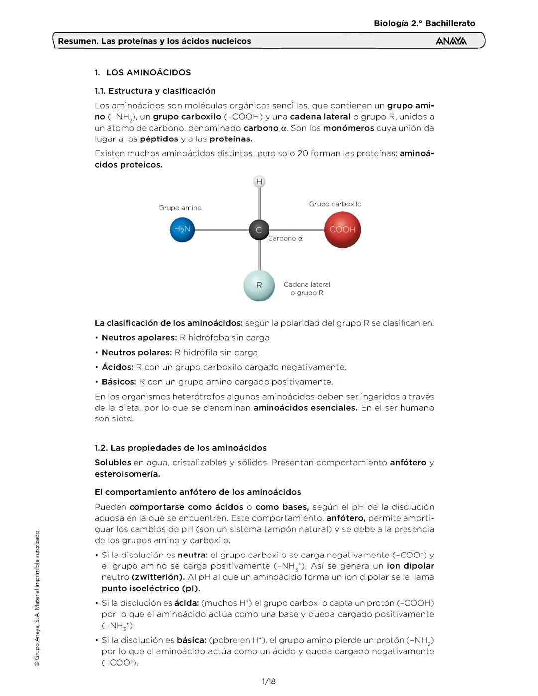 Proteínas y ácidos nucleicos