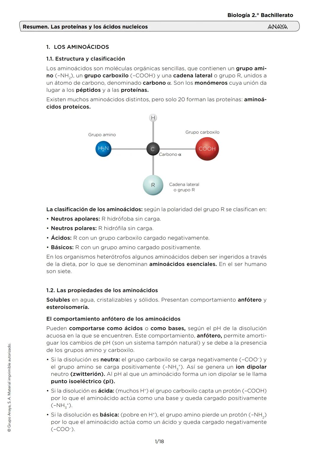 Grupo Anaya, S. A. Material imprimible autorizado.
Biología 2.º Bachillerato
ANAYA
Resumen. Las proteínas y los ácidos nucleicos
1. LOS AMIN
