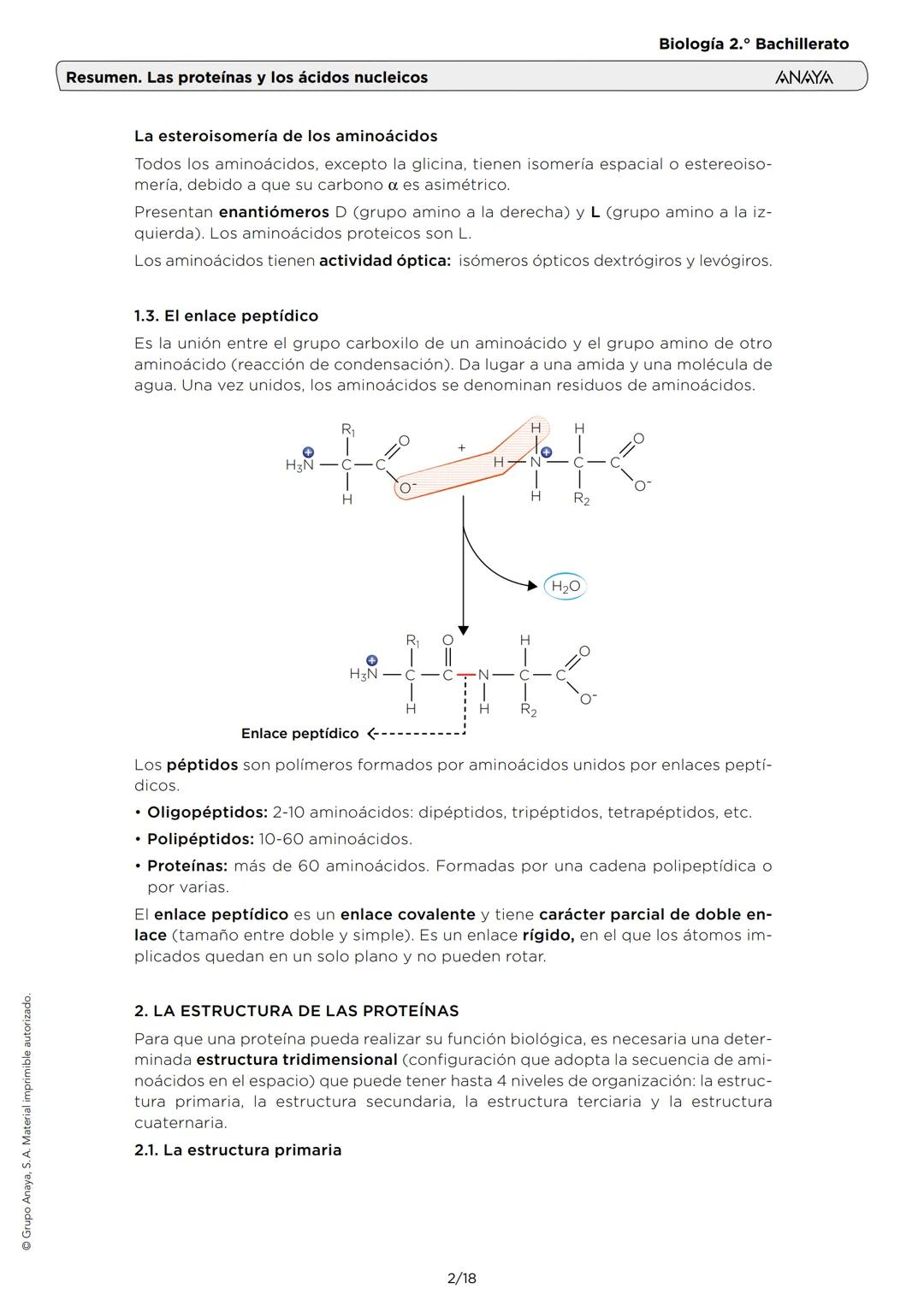 Grupo Anaya, S. A. Material imprimible autorizado.
Biología 2.º Bachillerato
ANAYA
Resumen. Las proteínas y los ácidos nucleicos
1. LOS AMIN