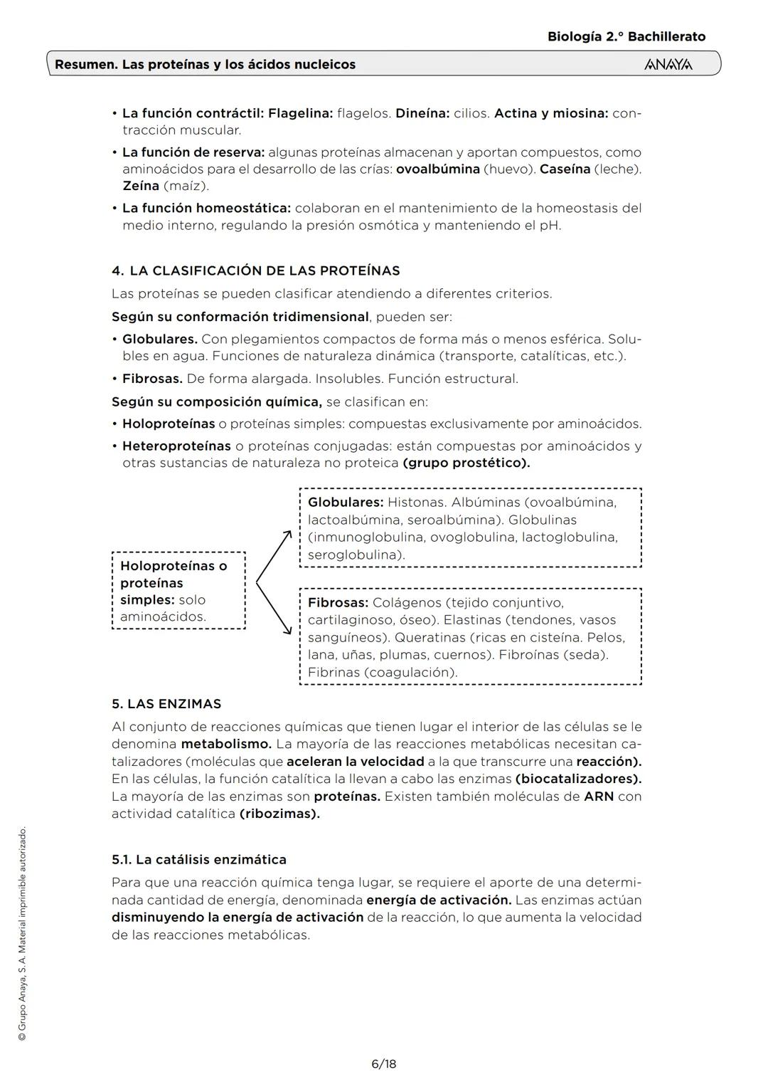 Grupo Anaya, S. A. Material imprimible autorizado.
Biología 2.º Bachillerato
ANAYA
Resumen. Las proteínas y los ácidos nucleicos
1. LOS AMIN