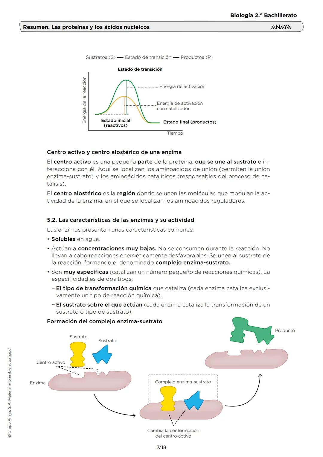 Grupo Anaya, S. A. Material imprimible autorizado.
Biología 2.º Bachillerato
ANAYA
Resumen. Las proteínas y los ácidos nucleicos
1. LOS AMIN