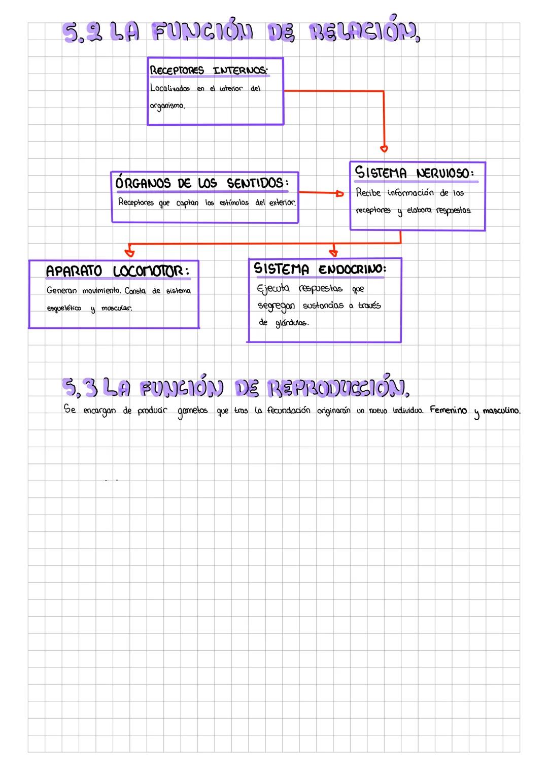 TEMA 1
El Cuerpo Humano
m4_isaa7
ALOS NIVELES DE ORGANIZACIÓN,
Los niveles de organización se ordenan
siguiente).
por
cada
grado de compleji