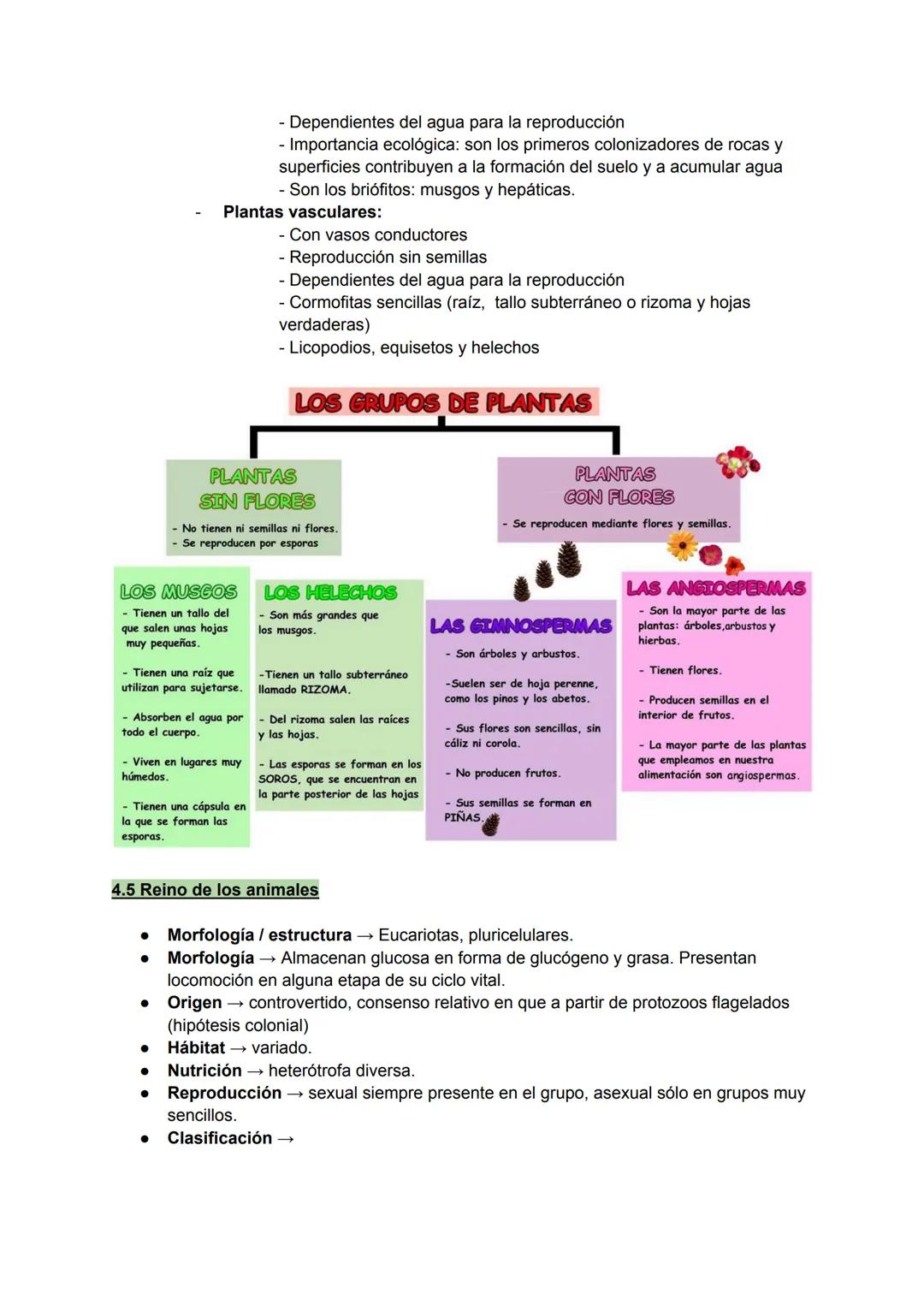 # TEMA 4: LA BIODIVERSIDAD
La biodiversidad es el conjunto de todos los seres vivos del planeta,
el ambiente en el que viven y la relación