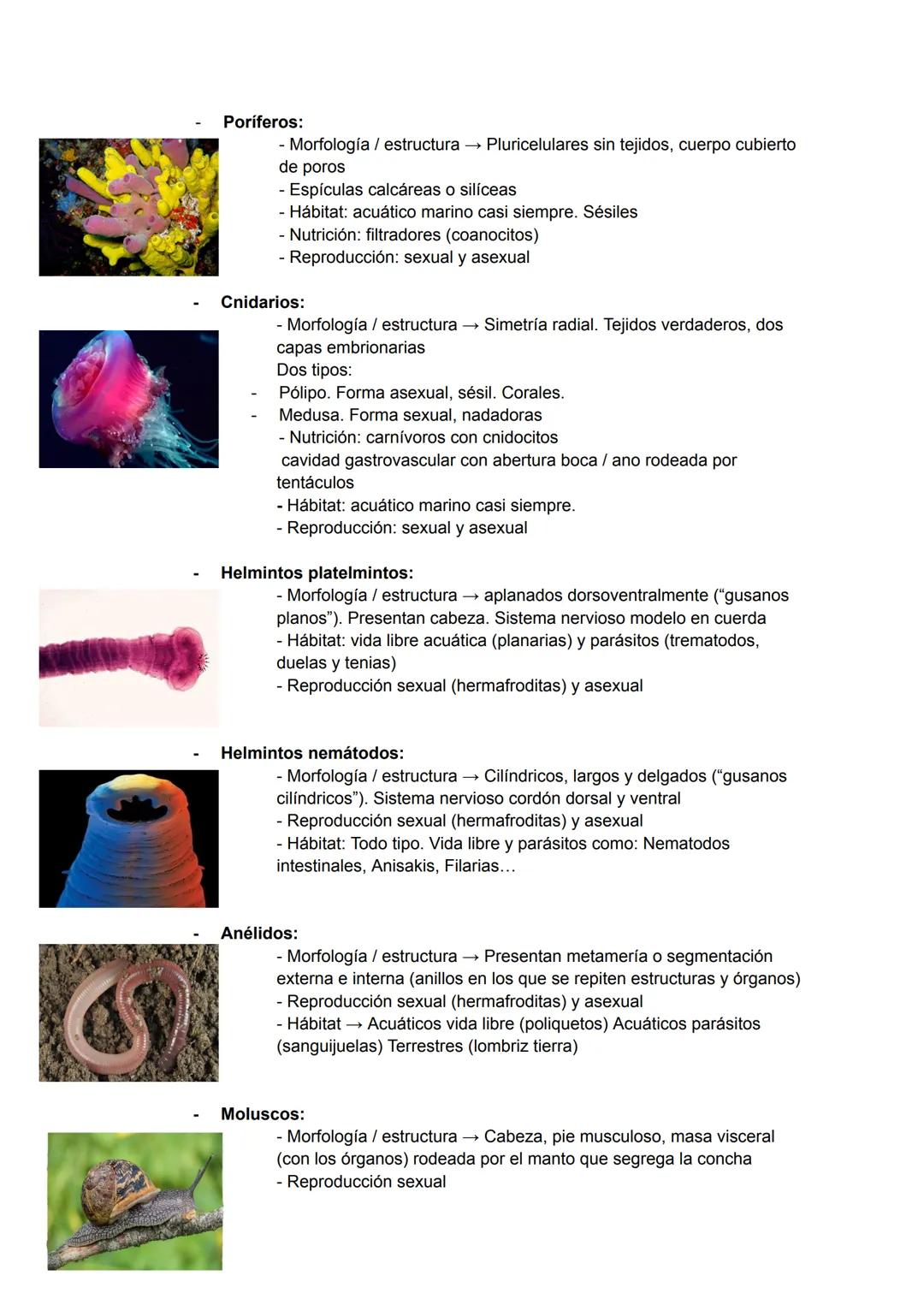 # TEMA 4: LA BIODIVERSIDAD
La biodiversidad es el conjunto de todos los seres vivos del planeta,
el ambiente en el que viven y la relación