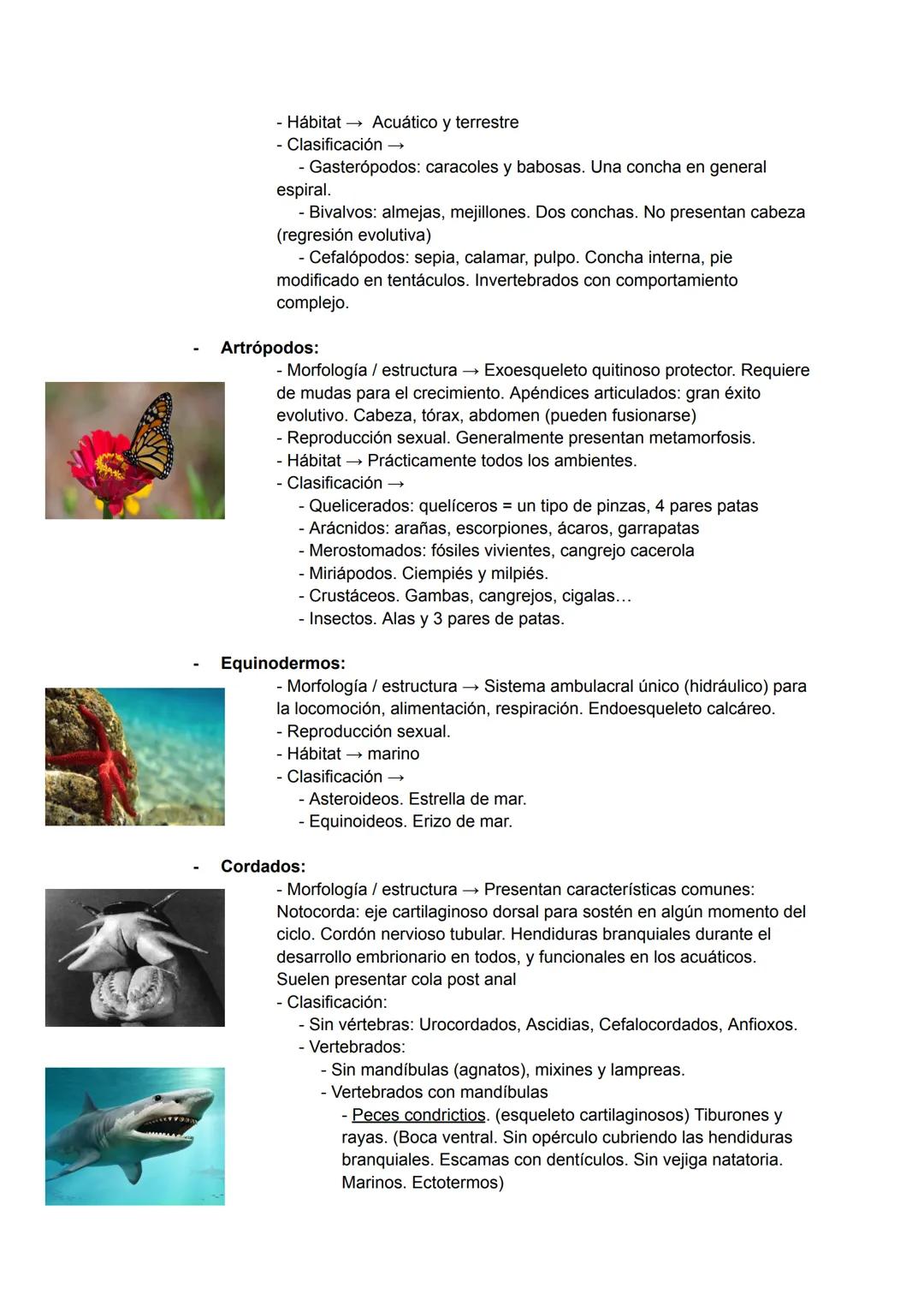# TEMA 4: LA BIODIVERSIDAD
La biodiversidad es el conjunto de todos los seres vivos del planeta,
el ambiente en el que viven y la relación