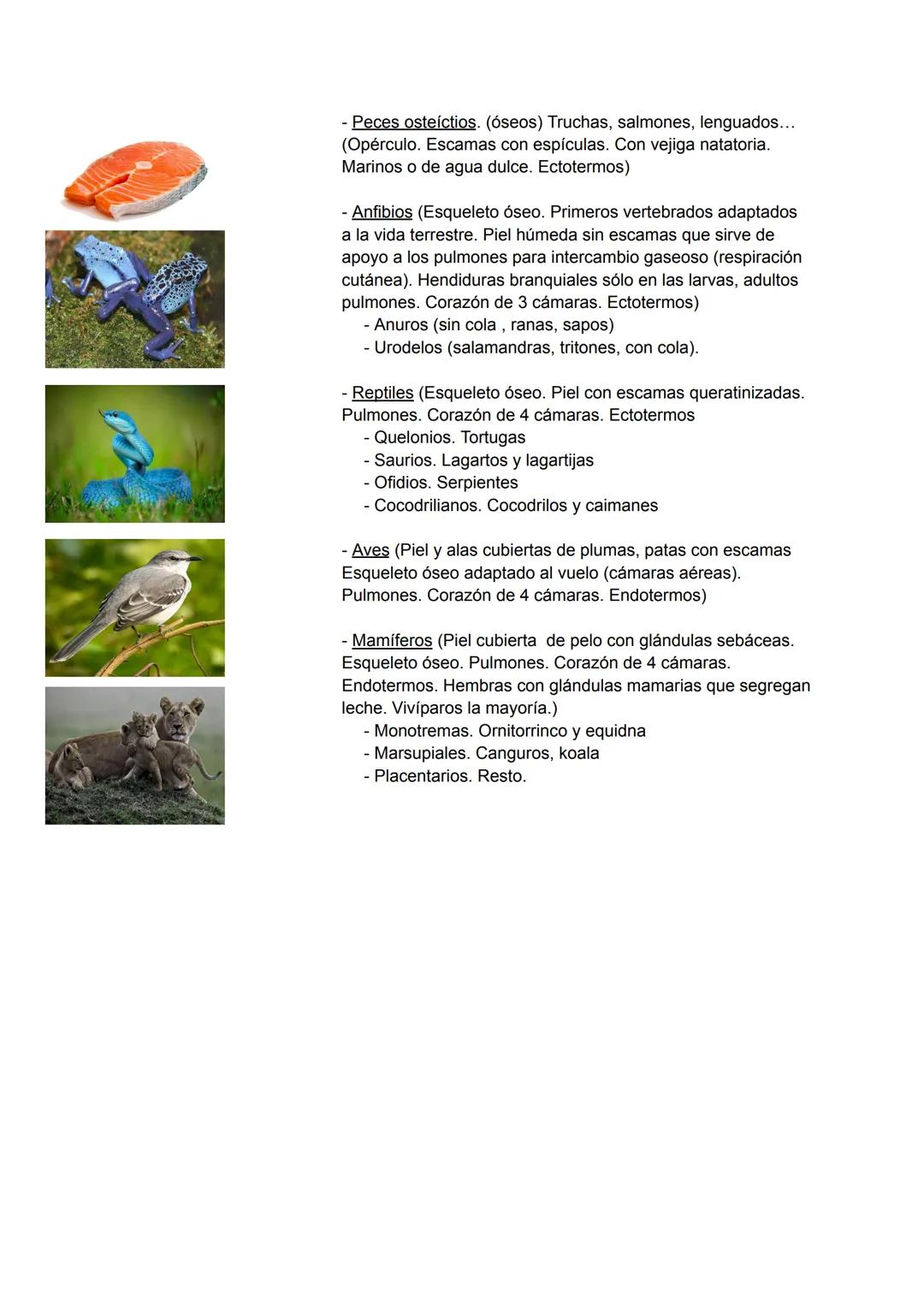 # TEMA 4: LA BIODIVERSIDAD
La biodiversidad es el conjunto de todos los seres vivos del planeta,
el ambiente en el que viven y la relación