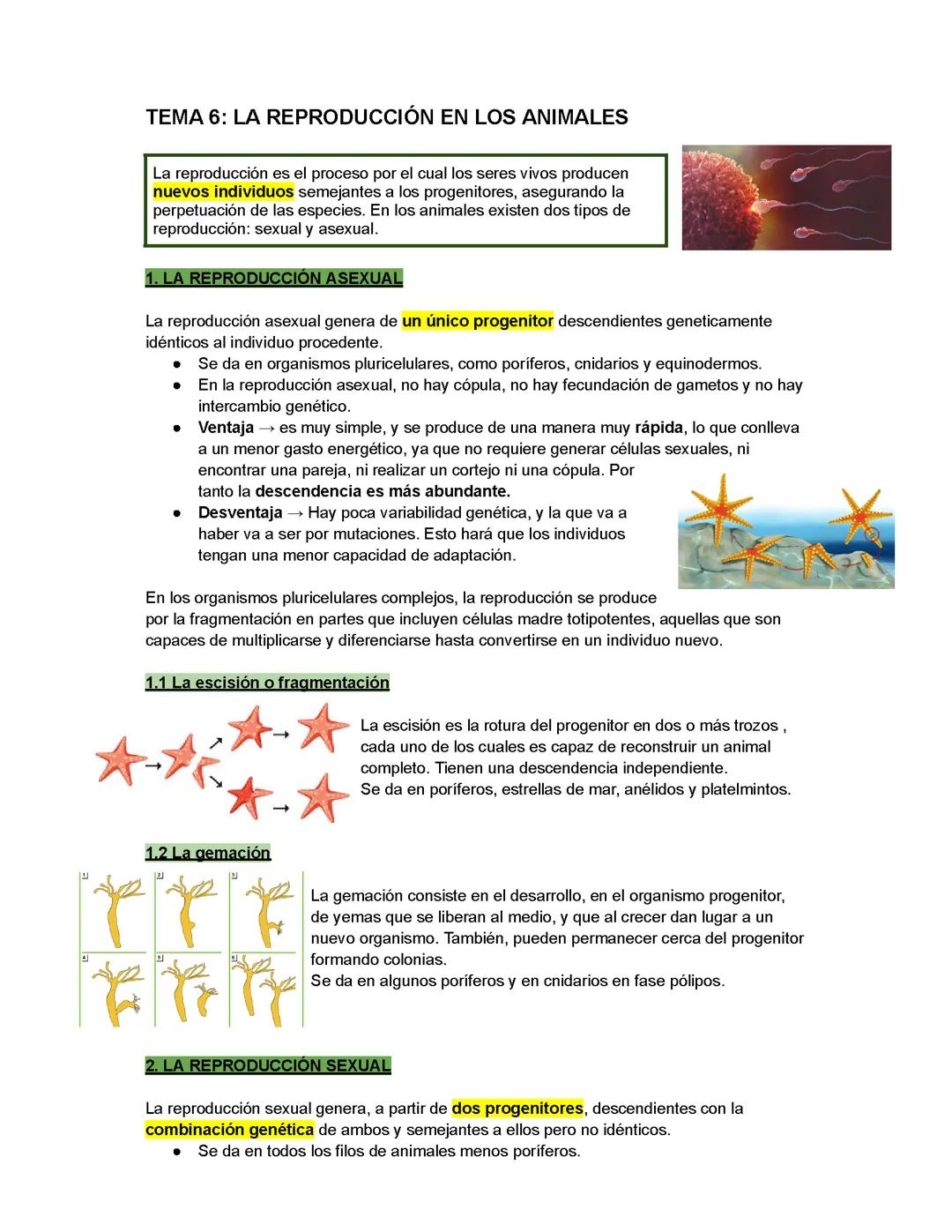 TEMA 6: LA REPRODUCCIÓN EN LOS ANIMALES