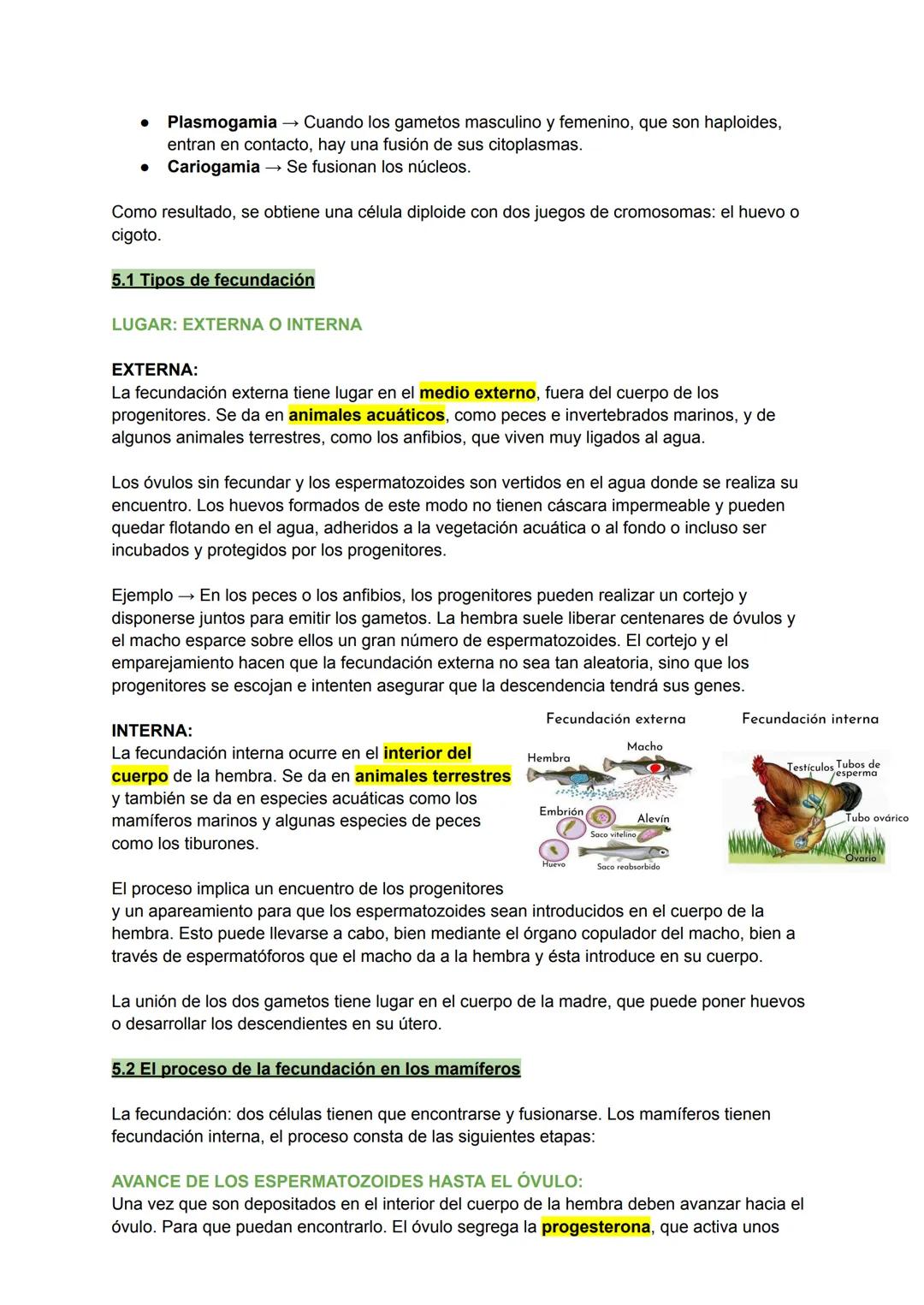 פן
TEMA 6: LA REPRODUCCIÓN EN LOS ANIMALES
La reproducción es el proceso por el cual los seres vivos producen
nuevos individuos semejantes a
