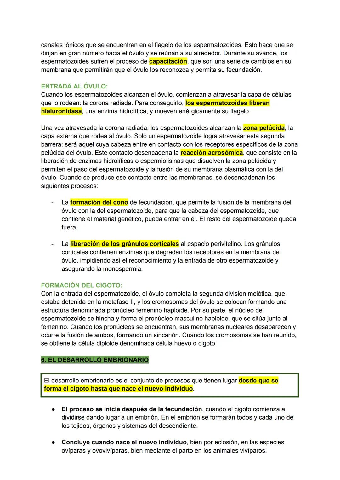 פן
TEMA 6: LA REPRODUCCIÓN EN LOS ANIMALES
La reproducción es el proceso por el cual los seres vivos producen
nuevos individuos semejantes a