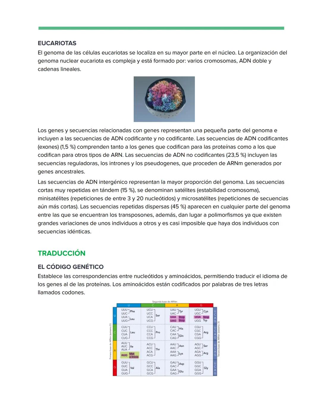 # Genética Molecular
REPLICACIÓN DE LA DOBLE HÉLICE: BIOSÍNTESIS ADN
Watson y Crick descubrieron que durante la replicación del ADN, cada