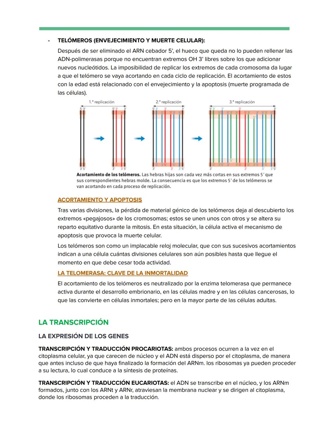 # Genética Molecular
REPLICACIÓN DE LA DOBLE HÉLICE: BIOSÍNTESIS ADN
Watson y Crick descubrieron que durante la replicación del ADN, cada
