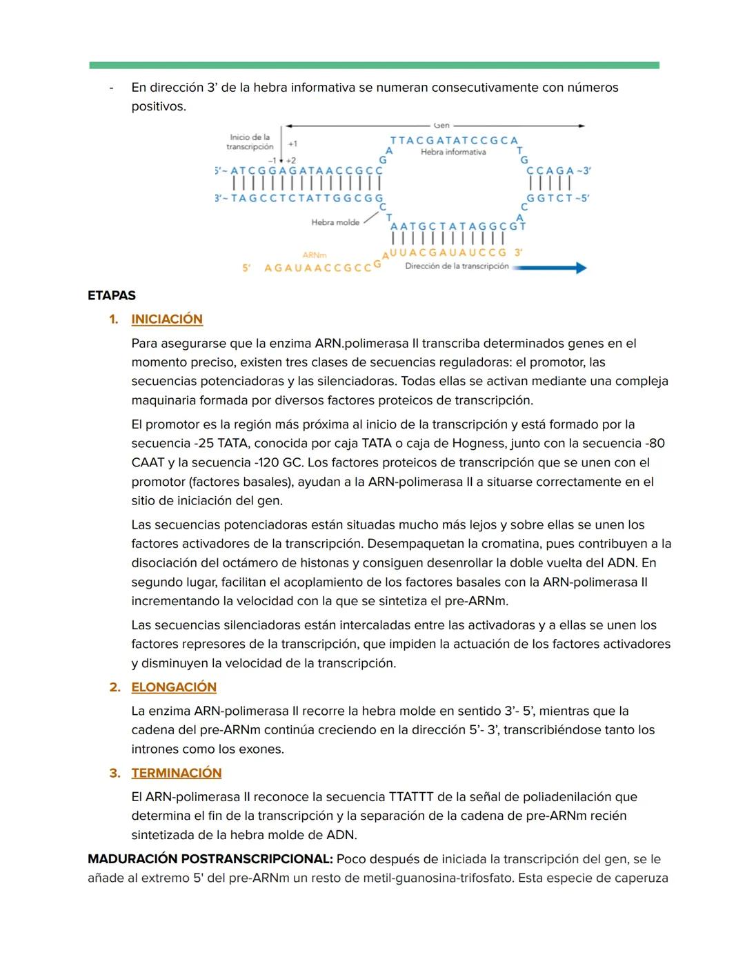 # Genética Molecular
REPLICACIÓN DE LA DOBLE HÉLICE: BIOSÍNTESIS ADN
Watson y Crick descubrieron que durante la replicación del ADN, cada
