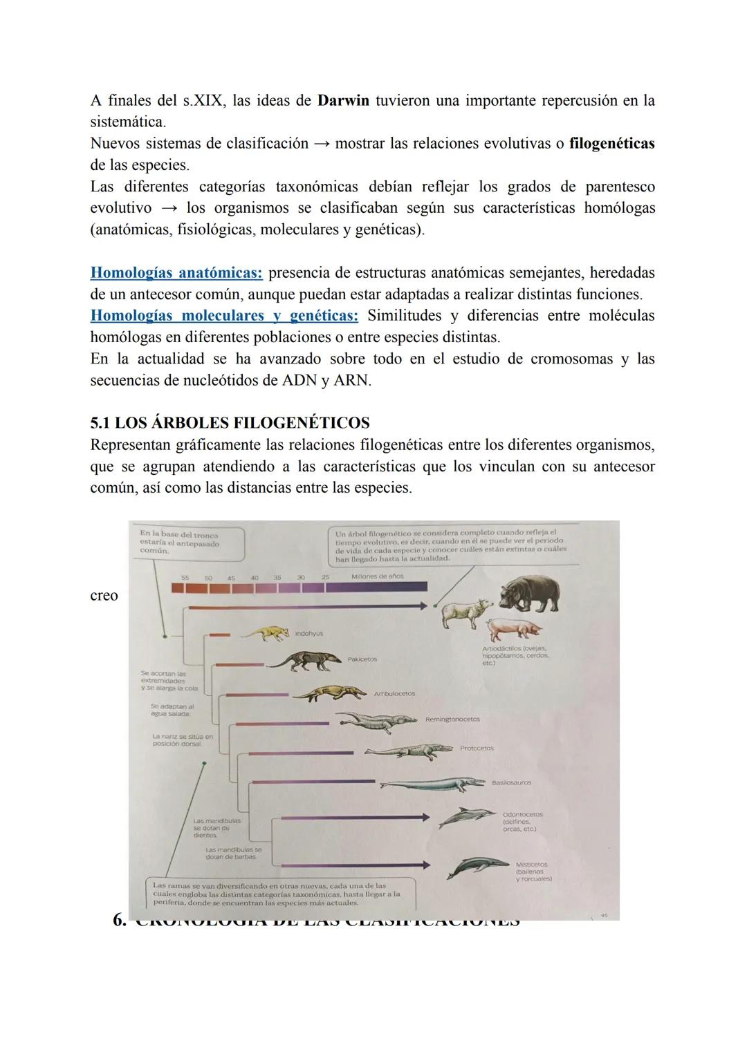BIOLOGÍA T2: EVOLUCIÓN Y
CLASIFICACIÓN DE LOS SERES VIVOS
1. LA EVOLUCIÓN DE LA VIDA EN LA TIERRA
Todos los organismos conocidos descienden