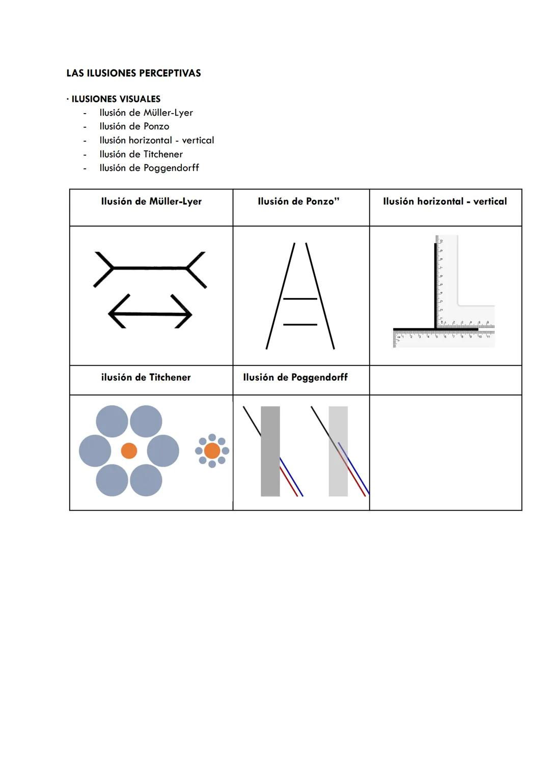 SENSACIÓN Y PERCEPCIÓN
⚫ Sensación →→ Detección de energia a través de los organos sensoriales. Cuando pasan
a nuestro cerebro aparece la pe