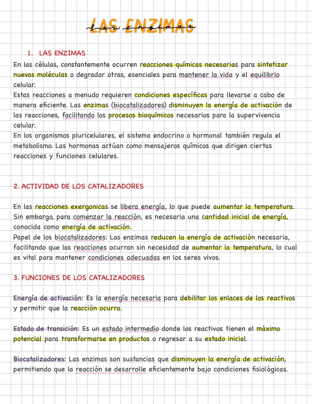 # LAS ENZIMAS
1. LAS ENZIMAS
En las células, constantemente ocurren reacciones químicas necesarias para sintetizar
nuevas moléculas o degr