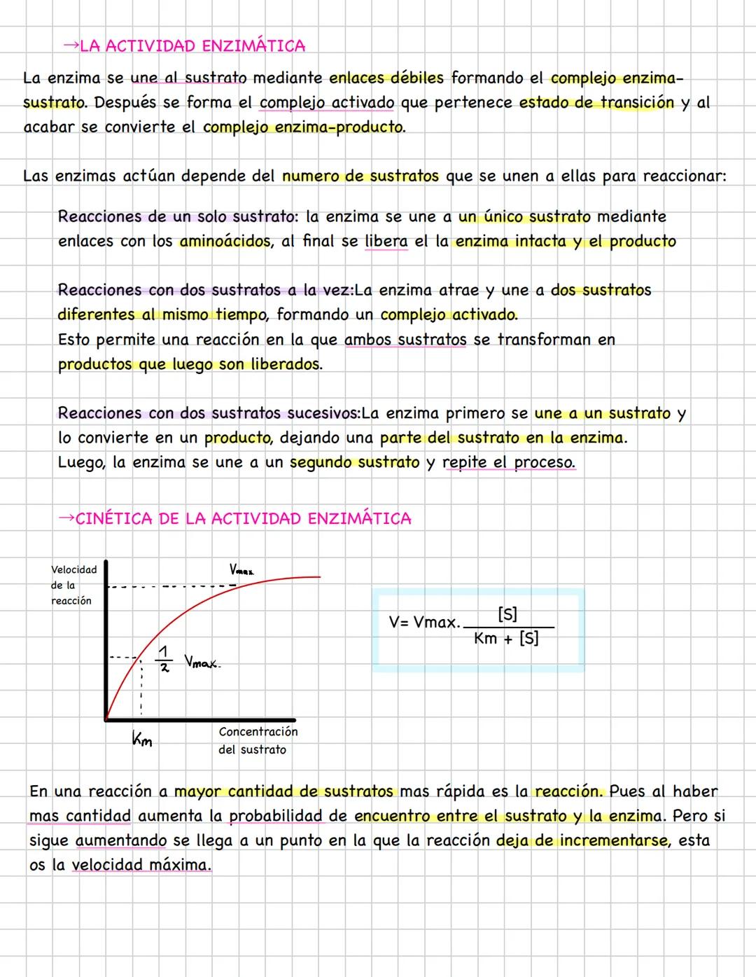 # LAS ENZIMAS
1. LAS ENZIMAS
En las células, constantemente ocurren reacciones químicas necesarias para sintetizar
nuevas moléculas o degr