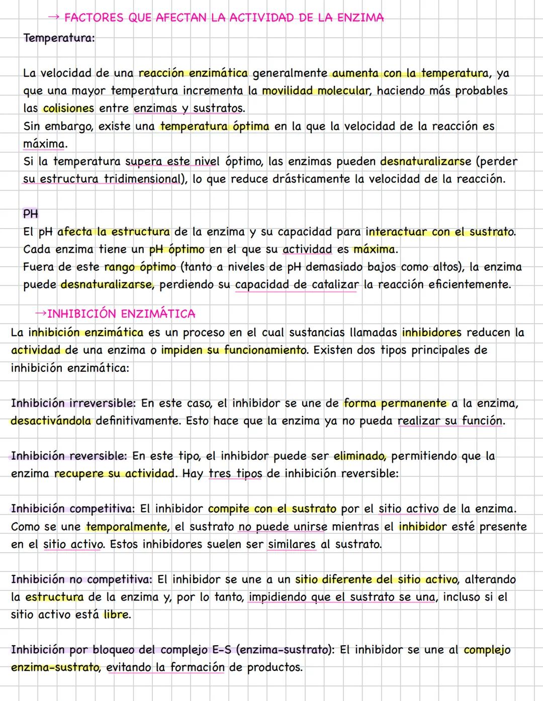 # LAS ENZIMAS
1. LAS ENZIMAS
En las células, constantemente ocurren reacciones químicas necesarias para sintetizar
nuevas moléculas o degr