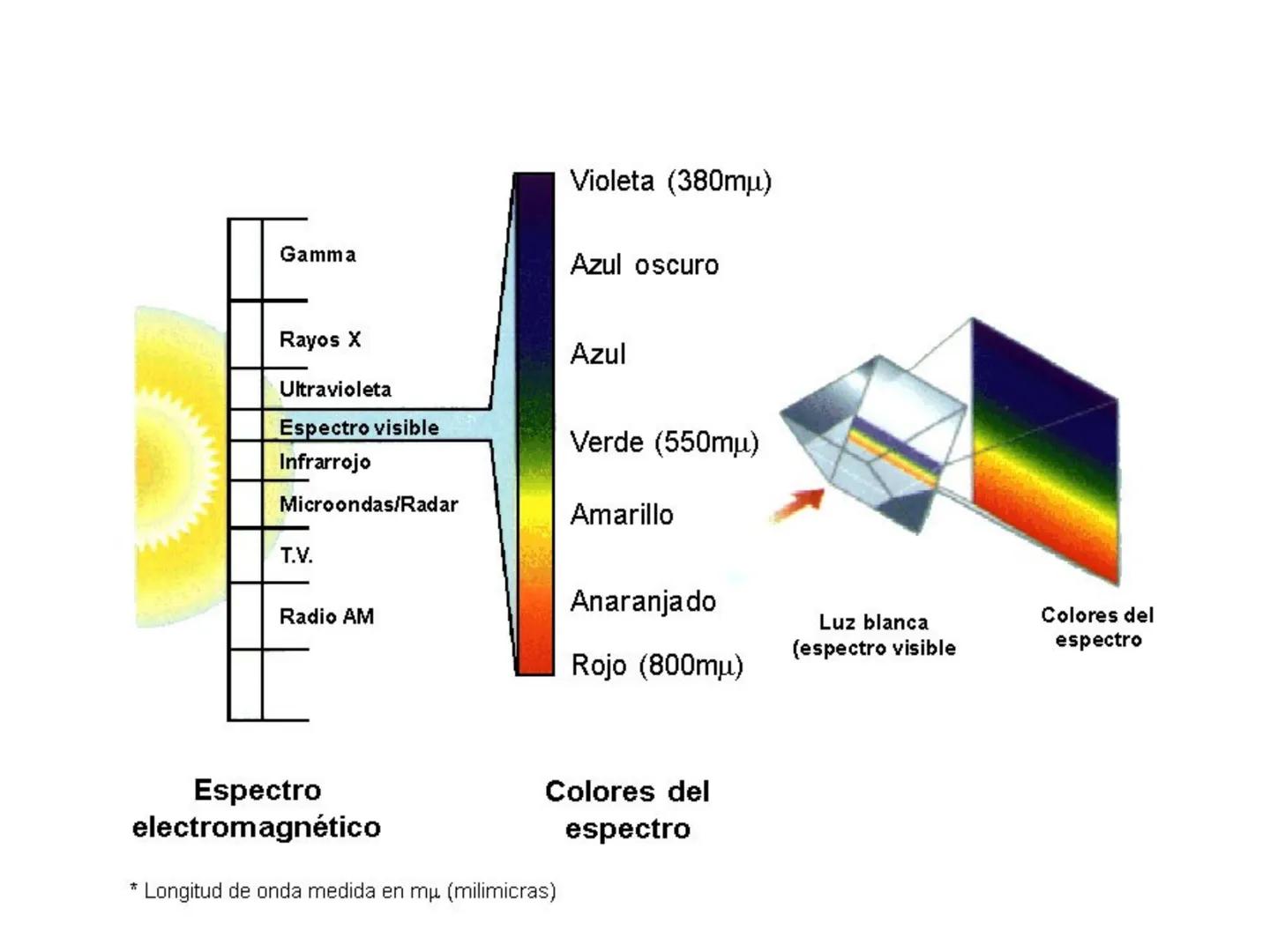 TEORÍA DEL
COLOR # Color
"El color es un fenómeno combinado, físico y psicológico, producido por la compleja interacción de la luz, la form