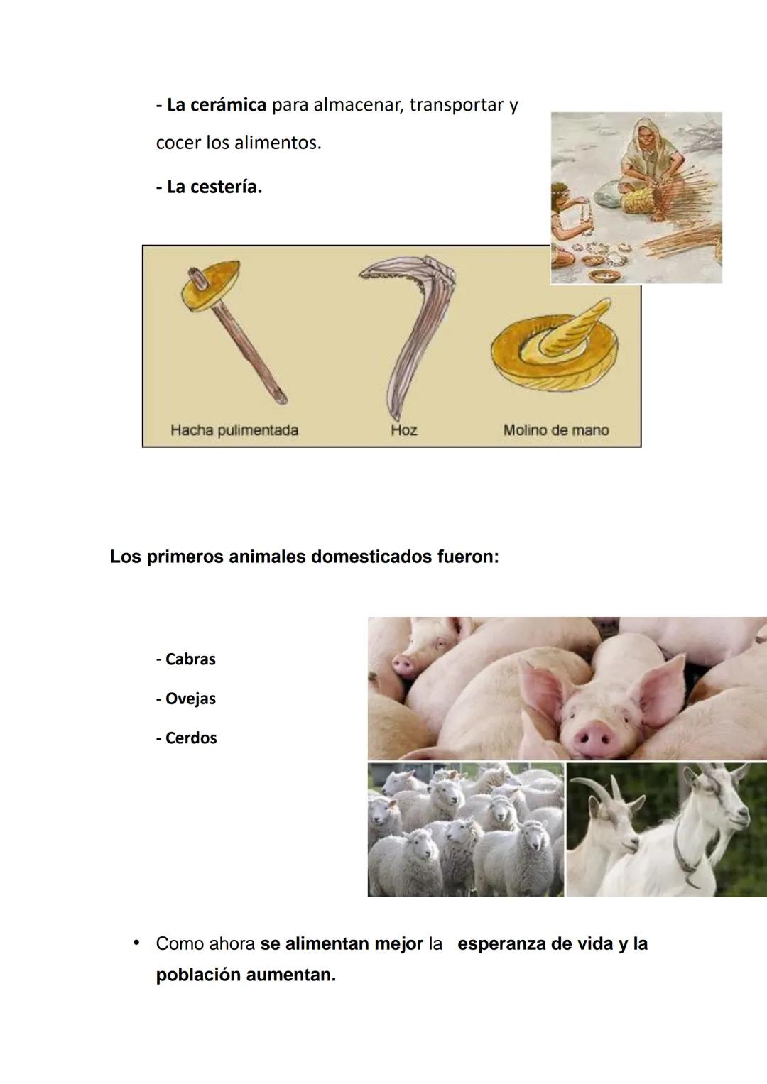 4. NEOLÍTICO 8.000 a.C.- 4.000 a.C.
1- Revolución Neolítica: La Revolución Neolítica ha sido el
cambio más importante de la historia de la h