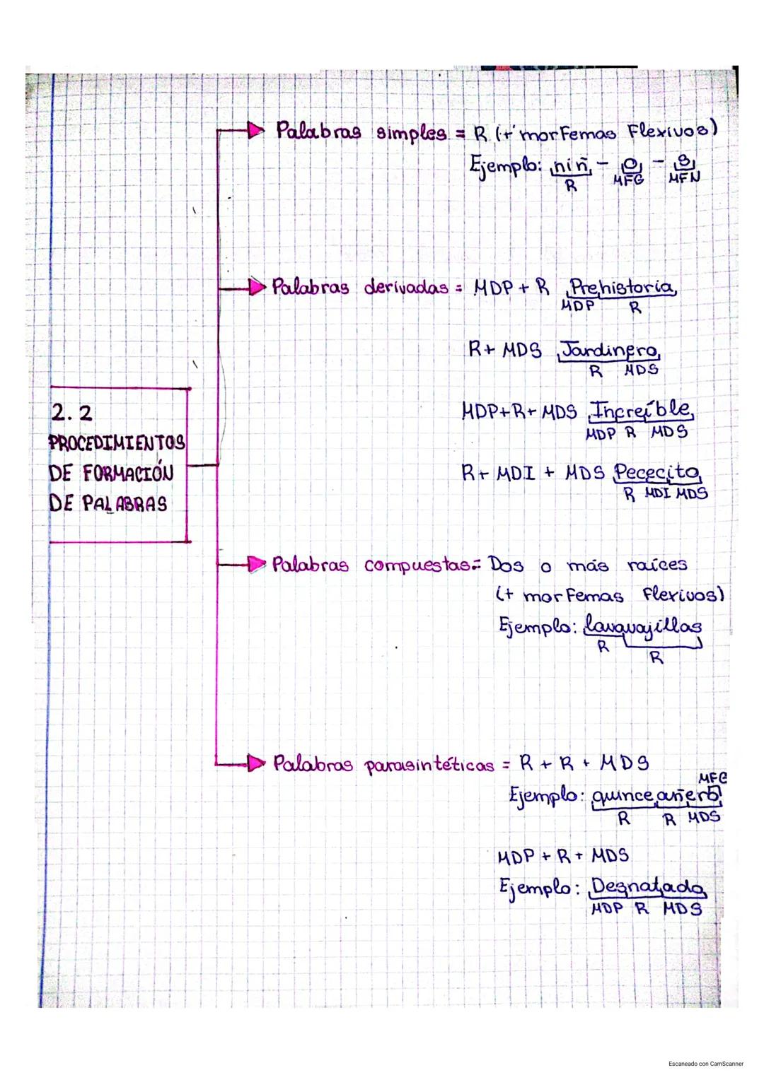 Palabras simples = R (+ morfemas Flexivos)
Ejemplo: nin - -
R
8
MFN
2.2
PROCEDIMIENTOS
DE FORMACIÓN
DE PALABRAS
Palabras derivadas = MDP + R
