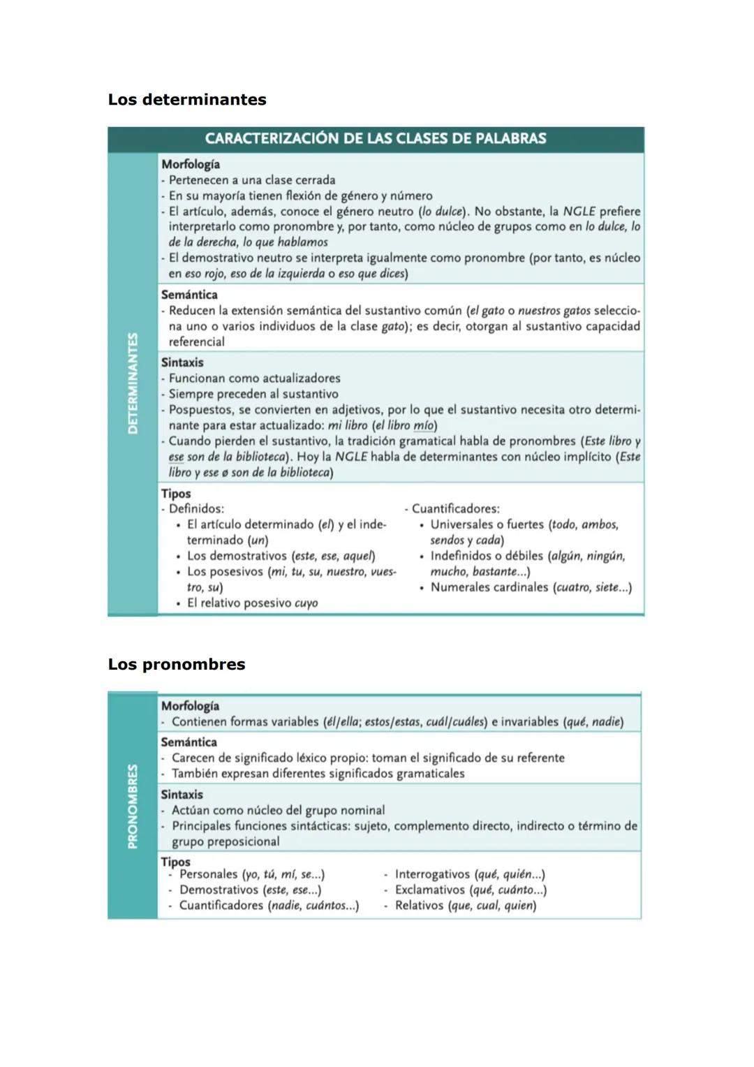 SUSTANTIVOS
El sustantivo
Categorías gramaticales
CARACTERIZACIÓN DE LAS CLASES DE PALABRAS
Morfología
- Tienen género y número
- Impone