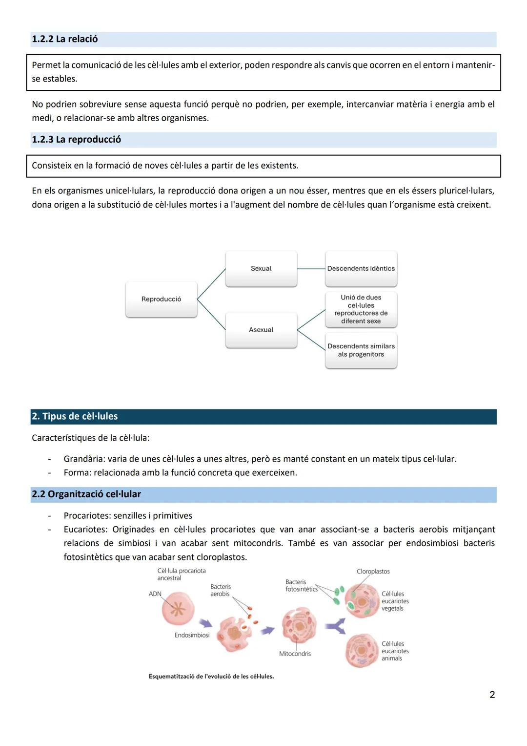Biologia T5: La cèl·lula
1. La cèl·lula: estructura i funcions
Principis de la teoría cel·lular:
- Tots els éssers vius estan formats per un