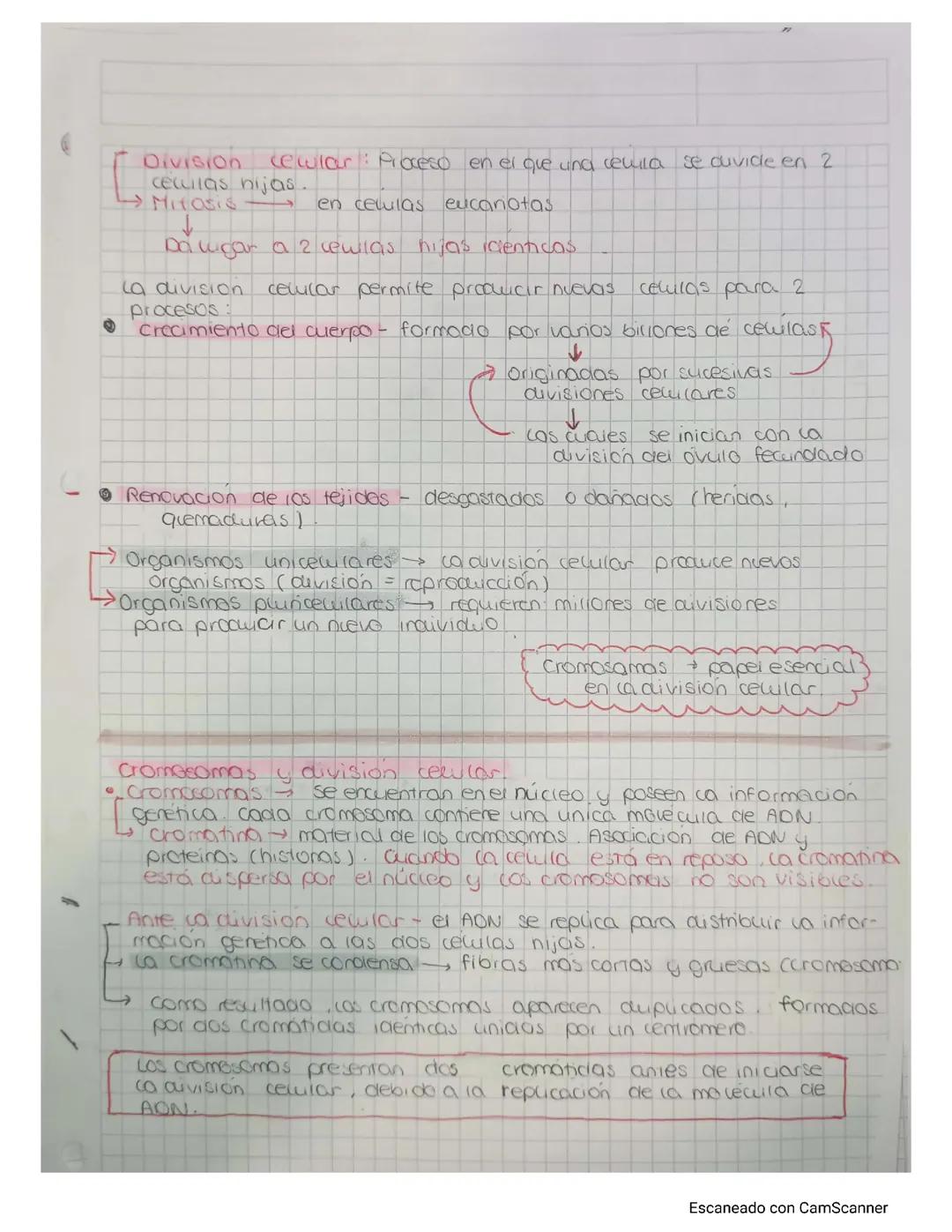 División celular: mitosis y citocinesis
