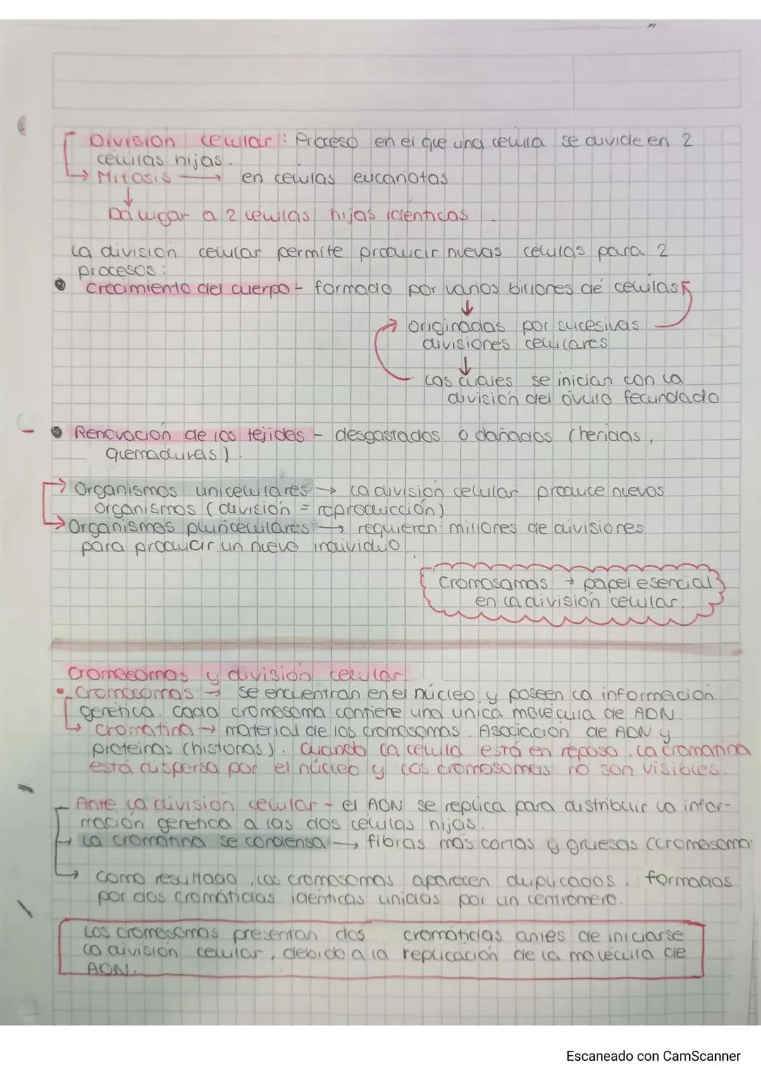 Division cewular: Proceso en el que una revila se divide en 2
celulas hijas.
Mitosis
en celulas eucanotas
Da ligar a 2 cewilas hijas identic