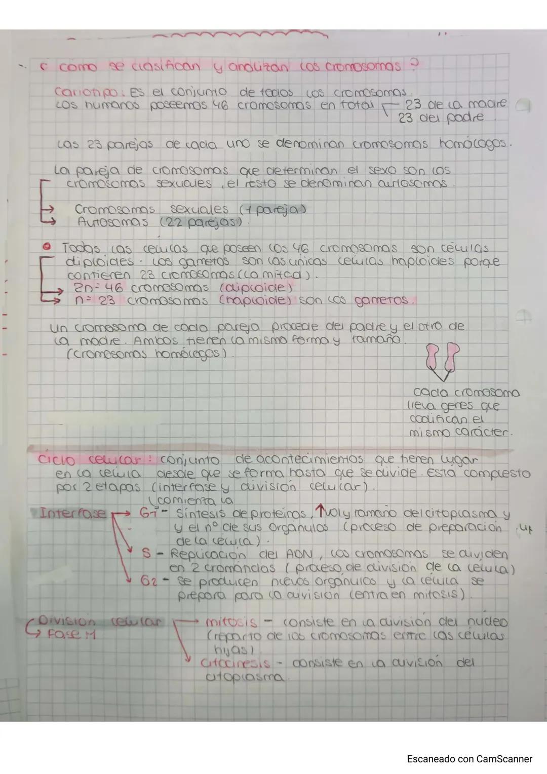 Division cewular: Proceso en el que una revila se divide en 2
celulas hijas.
Mitosis
en celulas eucanotas
Da ligar a 2 cewilas hijas identic