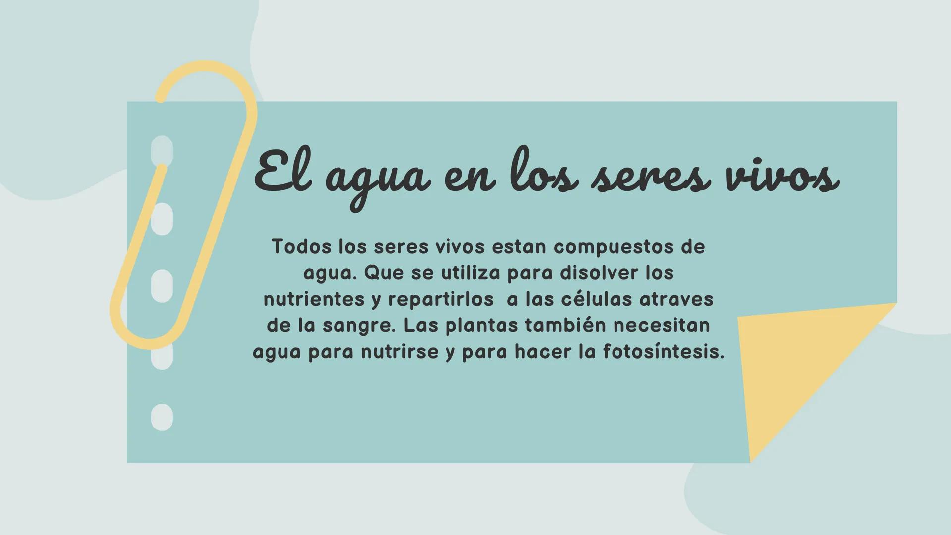 # La
hidrosfera # ¿Qué es la hidrosfera?
Es la capa de la Tierra que contiene agua en diferentes
estados y lugares. Cubre aproximadamente
