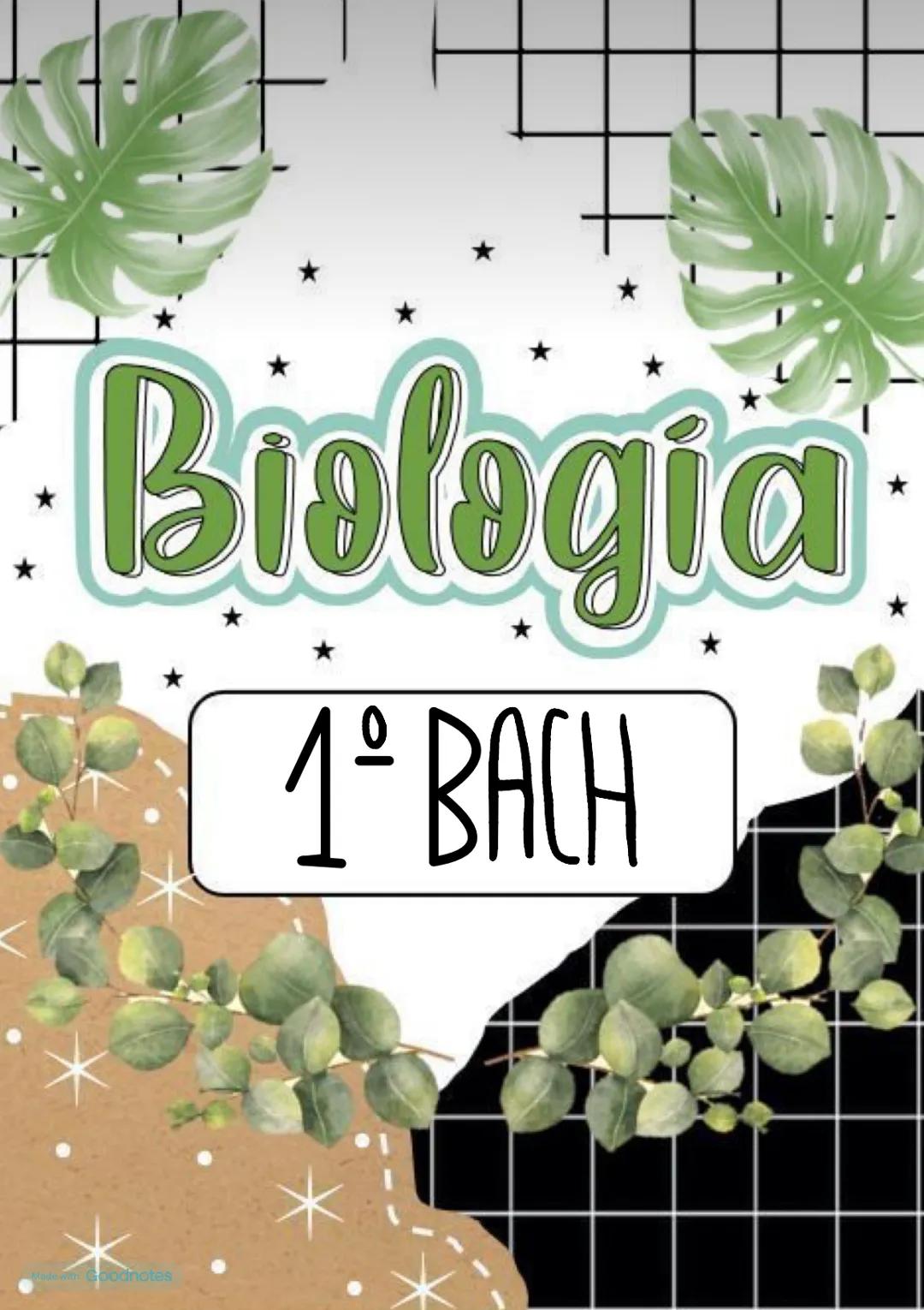 Biologia
1º BACH
Made with Goodnotes 2
1.
NIVELES DE ORGANIZACIÓN
DE LOS SERES VIVOS
Organismos pluricelulares
.
ORGANISMOS UNICELULARES
For