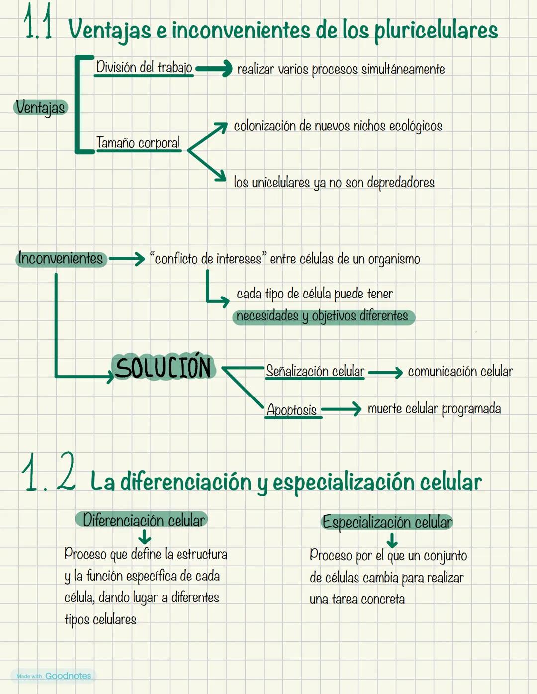 Biologia
1º BACH
Made with Goodnotes 2
1.
NIVELES DE ORGANIZACIÓN
DE LOS SERES VIVOS
Organismos pluricelulares
.
ORGANISMOS UNICELULARES
For