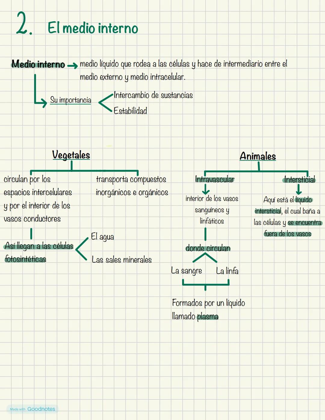 Biologia
1º BACH
Made with Goodnotes 2
1.
NIVELES DE ORGANIZACIÓN
DE LOS SERES VIVOS
Organismos pluricelulares
.
ORGANISMOS UNICELULARES
For