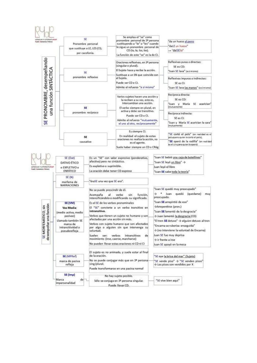 # LAS 9 CLASES DE PALABRAS
SUSTANTIVO
FORMA
FORMA
⇒ LEX. + MORFEMAS DE GÉNERO (masc./fem.)
Y MORFEMAS DE NÚMERO (sing/pl): Ø/-s, -es; el