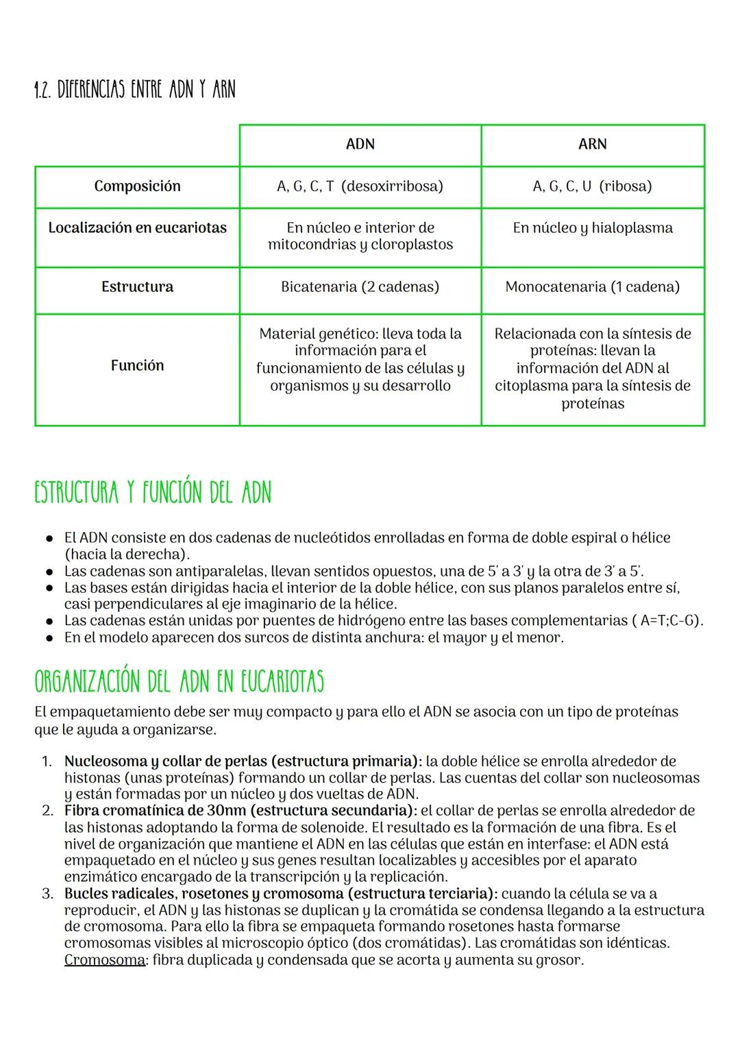 # TEMA 6: ÁCIDOS NUCLEICOS
NUCLEÓSIDOS
Son compuestos formados por la unión de una pentosa y una base nitrogenada.
* Pentosa: ribosa o
