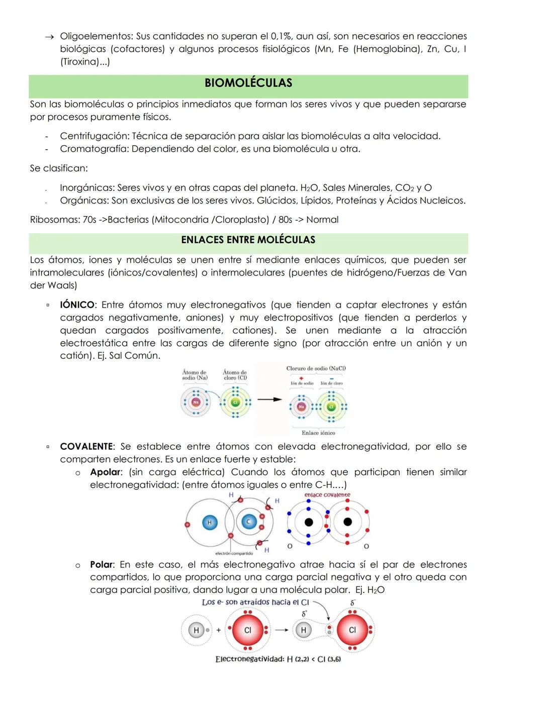 El origen de los átomos viene de las estrellas, estos constituyen nuestro organismo y del resto de los
seres vivos. En las reacciones de la
