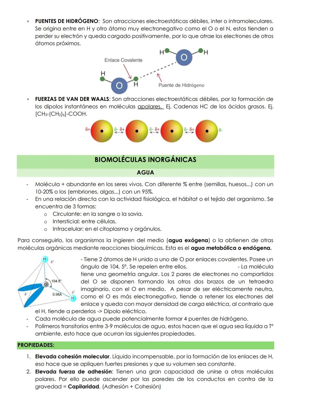 El origen de los átomos viene de las estrellas, estos constituyen nuestro organismo y del resto de los
seres vivos. En las reacciones de la