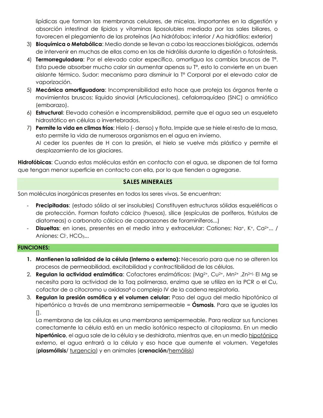 El origen de los átomos viene de las estrellas, estos constituyen nuestro organismo y del resto de los
seres vivos. En las reacciones de la