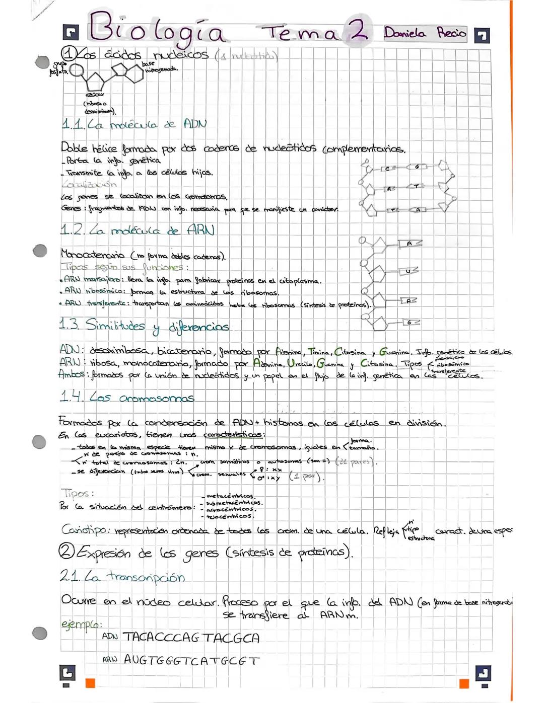 Biología Mitosis/Meiosis/Acidos Nucleicos/…