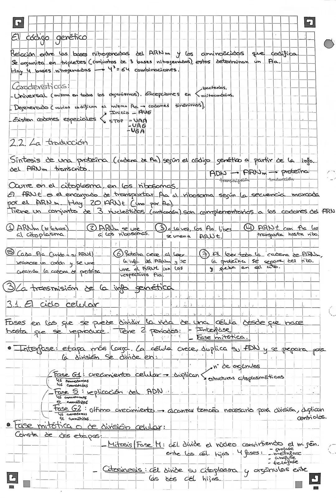 Josfato.
■ Biologia Tema 2 Daniela Recio 7
Cos ácidos nucleicos (s nubotica)
base
nitrogenada.
Car
Chibosa o
desoxinition).
1.1. La molécula