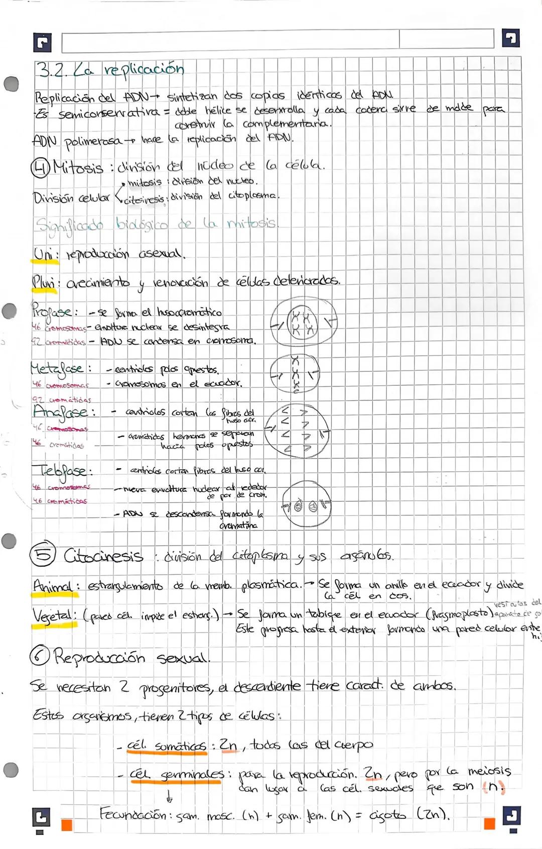 Josfato.
■ Biologia Tema 2 Daniela Recio 7
Cos ácidos nucleicos (s nubotica)
base
nitrogenada.
Car
Chibosa o
desoxinition).
1.1. La molécula