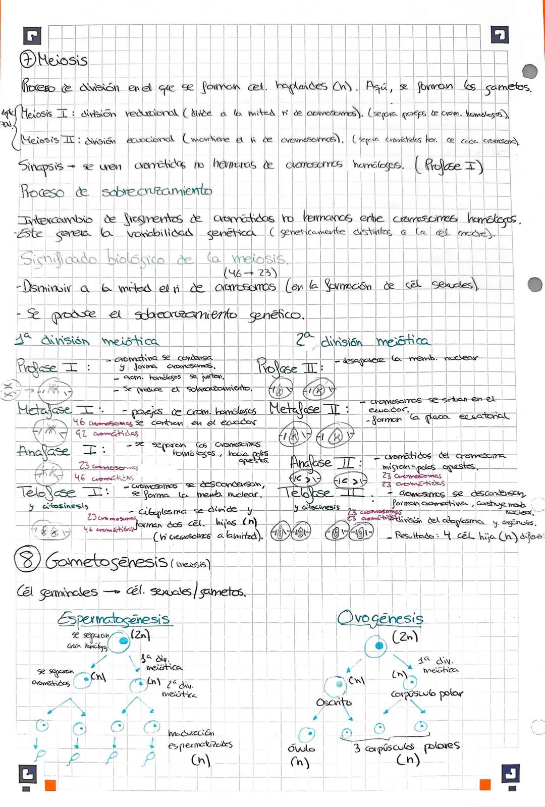 Josfato.
■ Biologia Tema 2 Daniela Recio 7
Cos ácidos nucleicos (s nubotica)
base
nitrogenada.
Car
Chibosa o
desoxinition).
1.1. La molécula