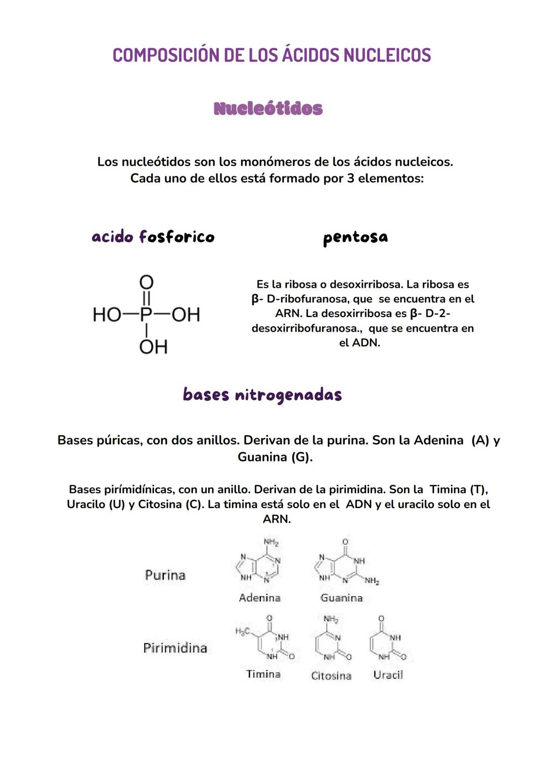 ACIDOS
NUCLEICOS
biologia tema 7 IMPORTANCIA BIOLÓGICA DE LOS ÁCIDOS NUCLEICOS
Los ácidos nucleicos son las biomoléculas encargadas
de almac