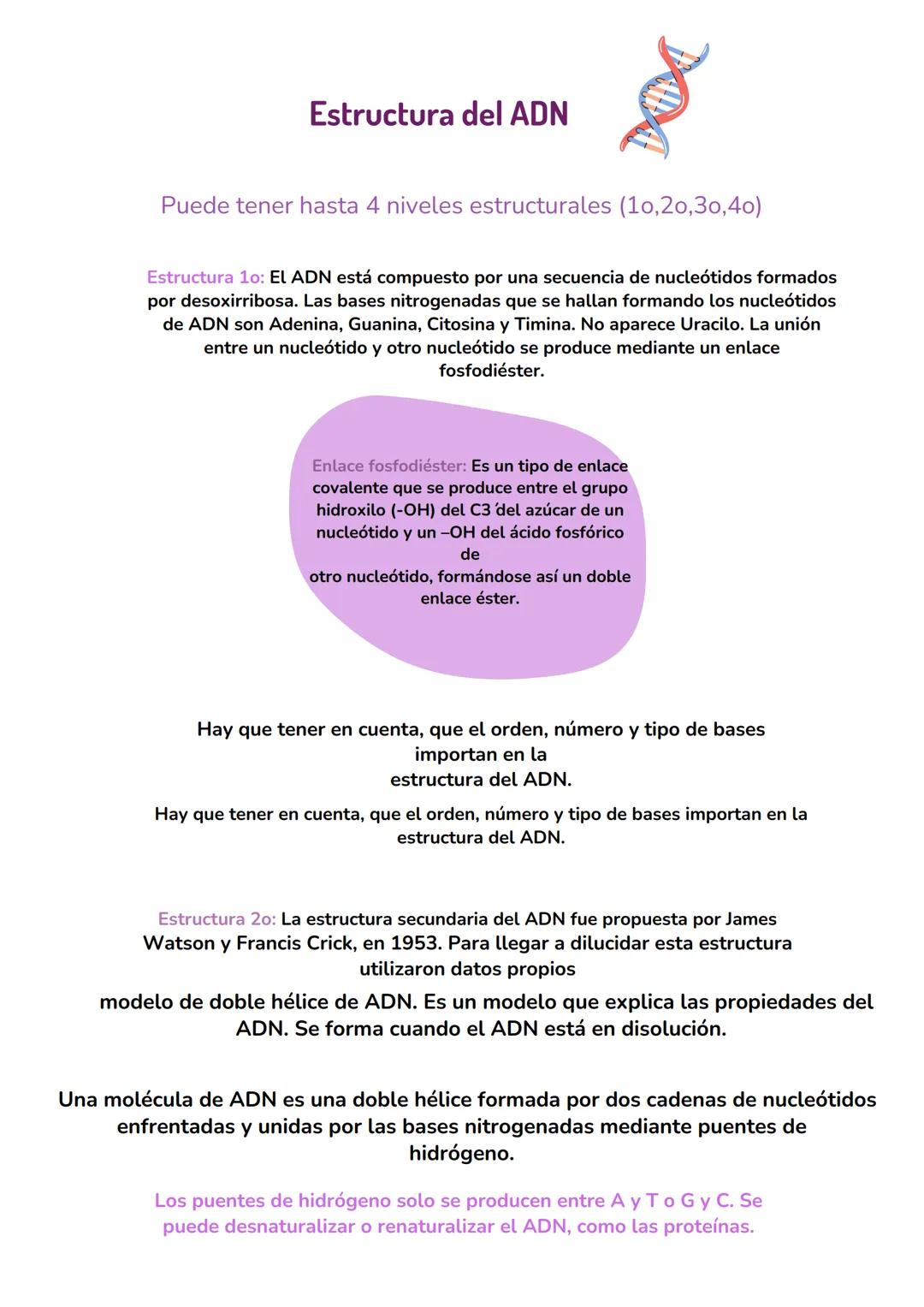 ACIDOS
NUCLEICOS
biologia tema 7 IMPORTANCIA BIOLÓGICA DE LOS ÁCIDOS NUCLEICOS
Los ácidos nucleicos son las biomoléculas encargadas
de almac