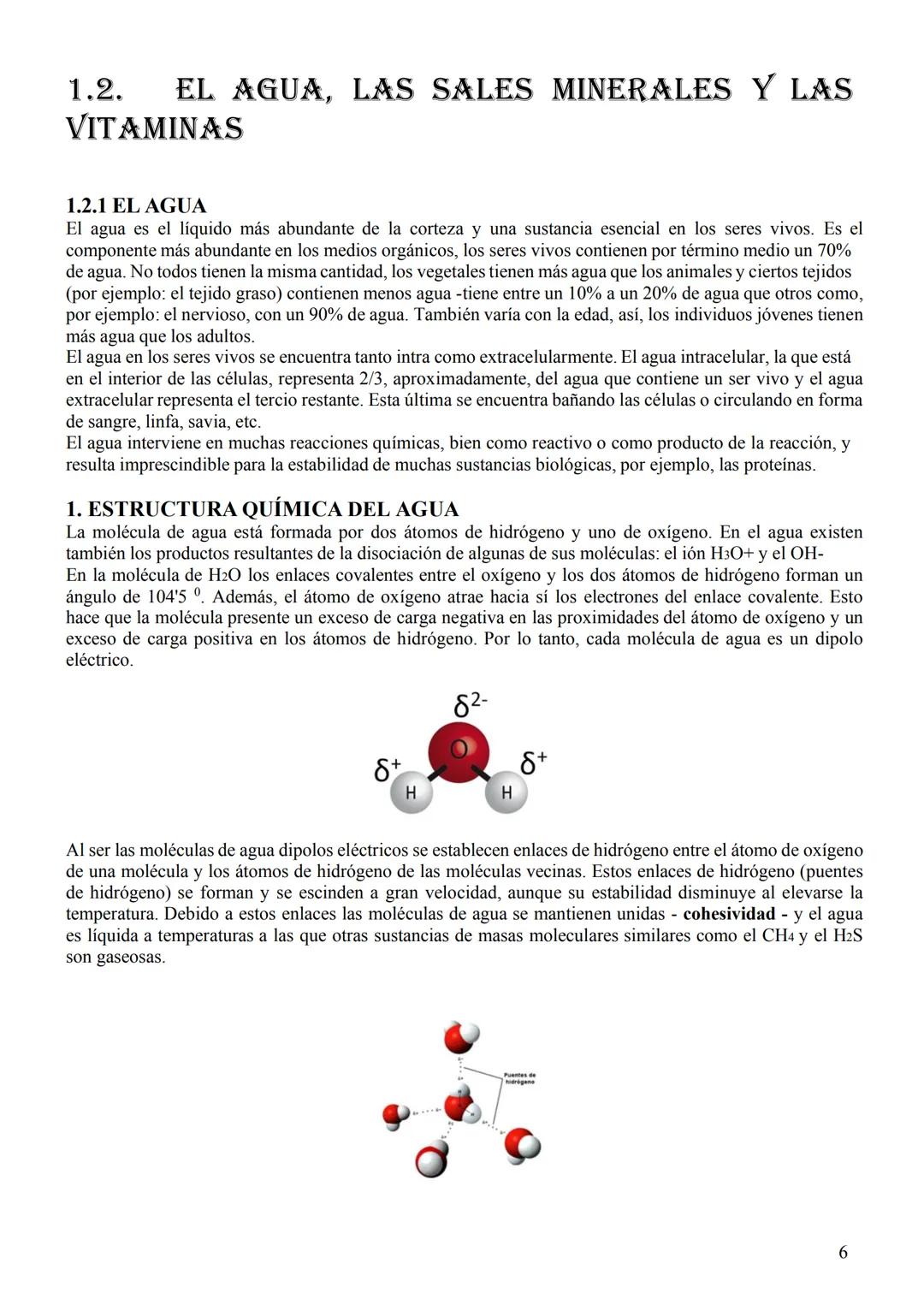 BIOLOGÍA 2°
BACHILLERATO
GIFFITS DR
1 1. LAS BIOMOLÉCULAS
1.1. BIOMOLÉCULAS ORGÁNICAS E INORGÁNICAS
Los bioelementos son los elementos quími