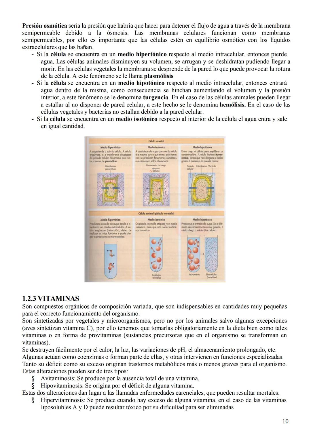 BIOLOGÍA 2°
BACHILLERATO
GIFFITS DR
1 1. LAS BIOMOLÉCULAS
1.1. BIOMOLÉCULAS ORGÁNICAS E INORGÁNICAS
Los bioelementos son los elementos quími