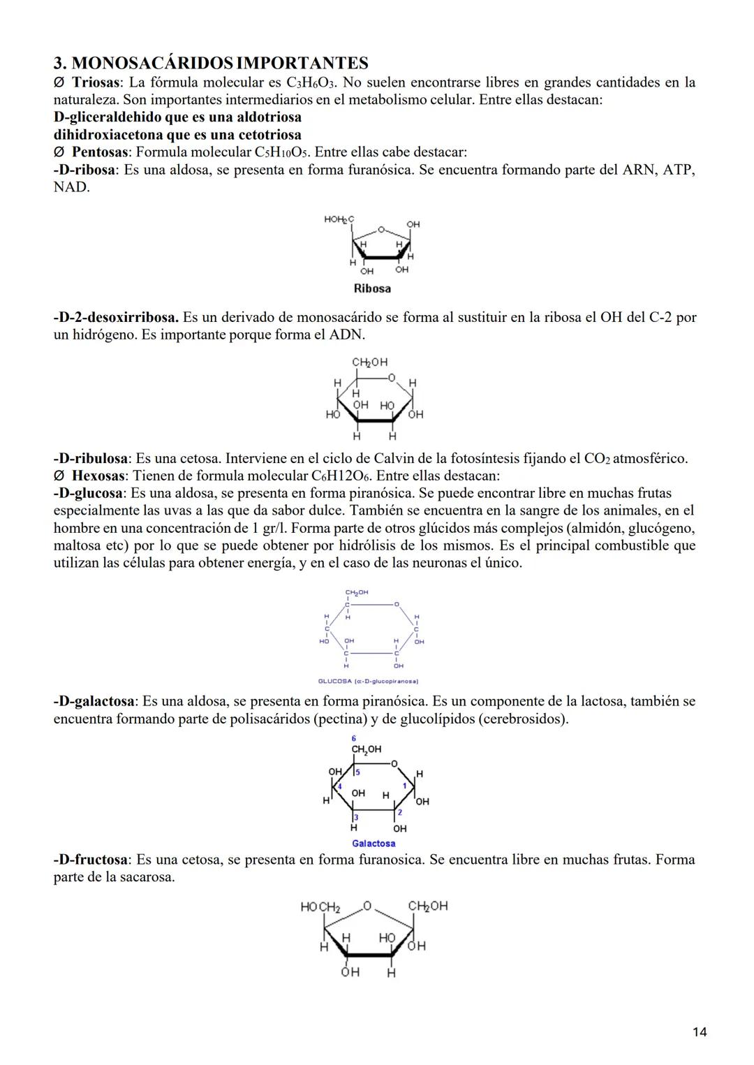 # 1.3. LOS GLÚCIDOS
Los glúcidos son biomoléculas orgánicas que están formadas principalmente por C, Hy О.
Su fórmula general empírica es C