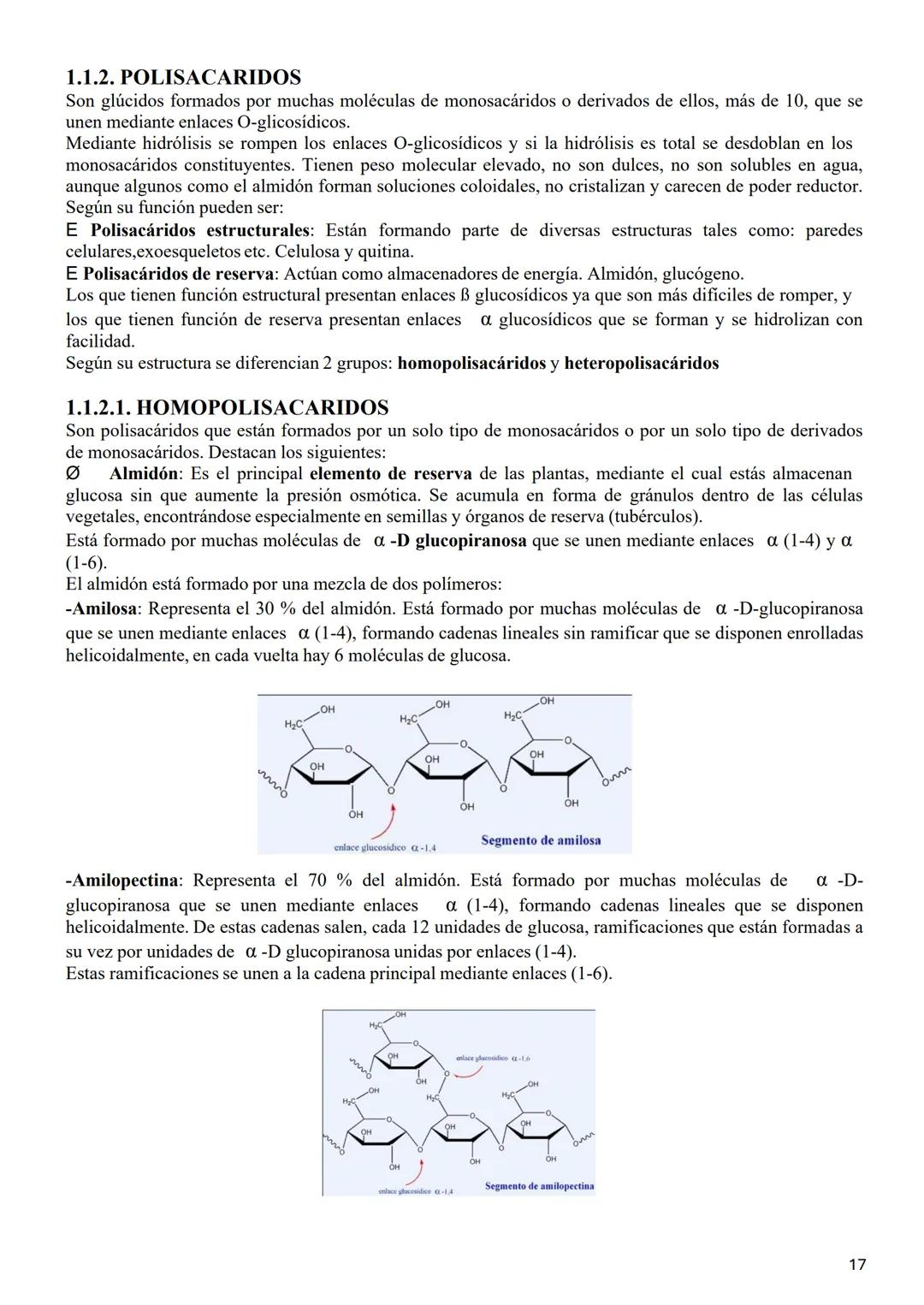 # 1.3. LOS GLÚCIDOS
Los glúcidos son biomoléculas orgánicas que están formadas principalmente por C, Hy О.
Su fórmula general empírica es C