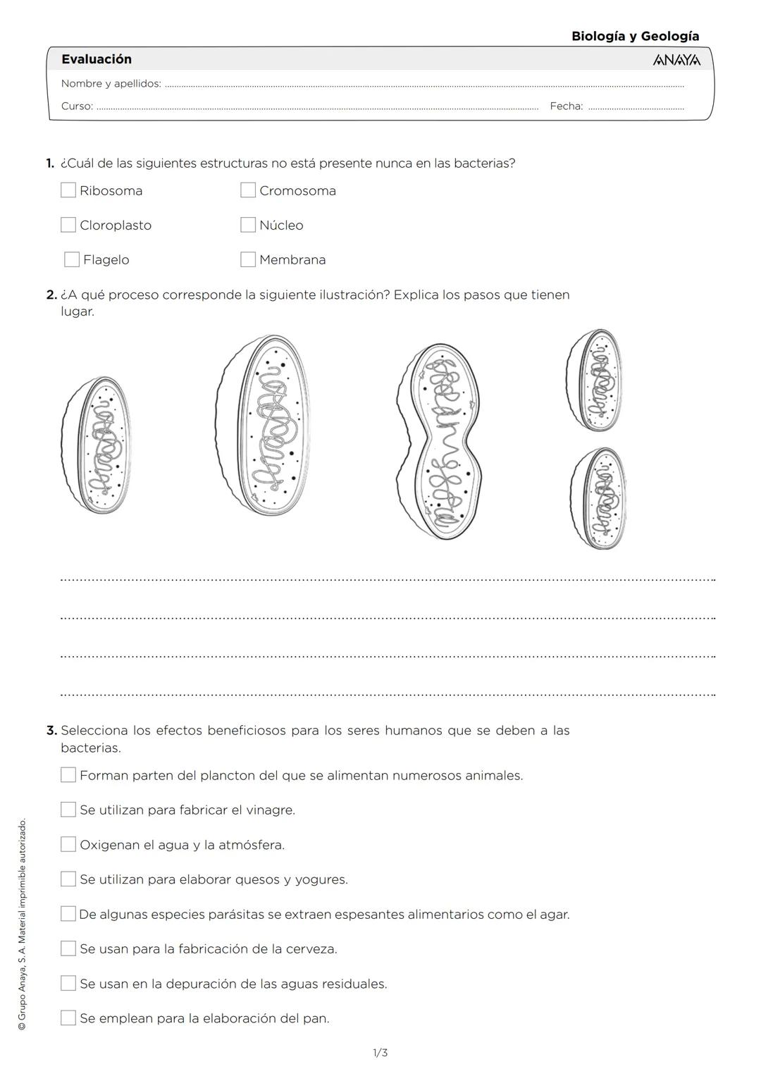 Evaluación
Nombre y apellidos:
Curso:
1. ¿Cuál de las siguientes estructuras no está presente nunca en las bacterias?
Ribosoma
Cloropla